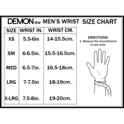 Demon Wrist Guards DS6450 for Skiing and Snowboarding